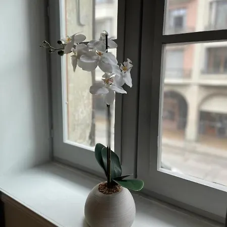 Edelweiss Apartment *