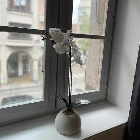 Apartment Edelweiss